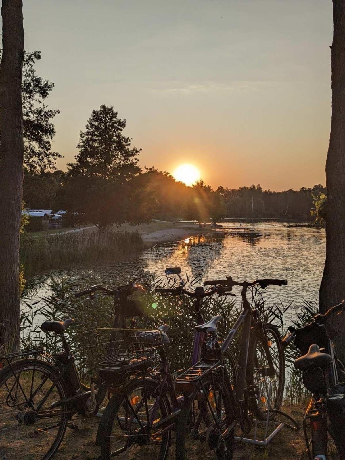 Вилла Gruener Bungalow Am Kiebitzsee Falkenberg/Elster Экстерьер фото