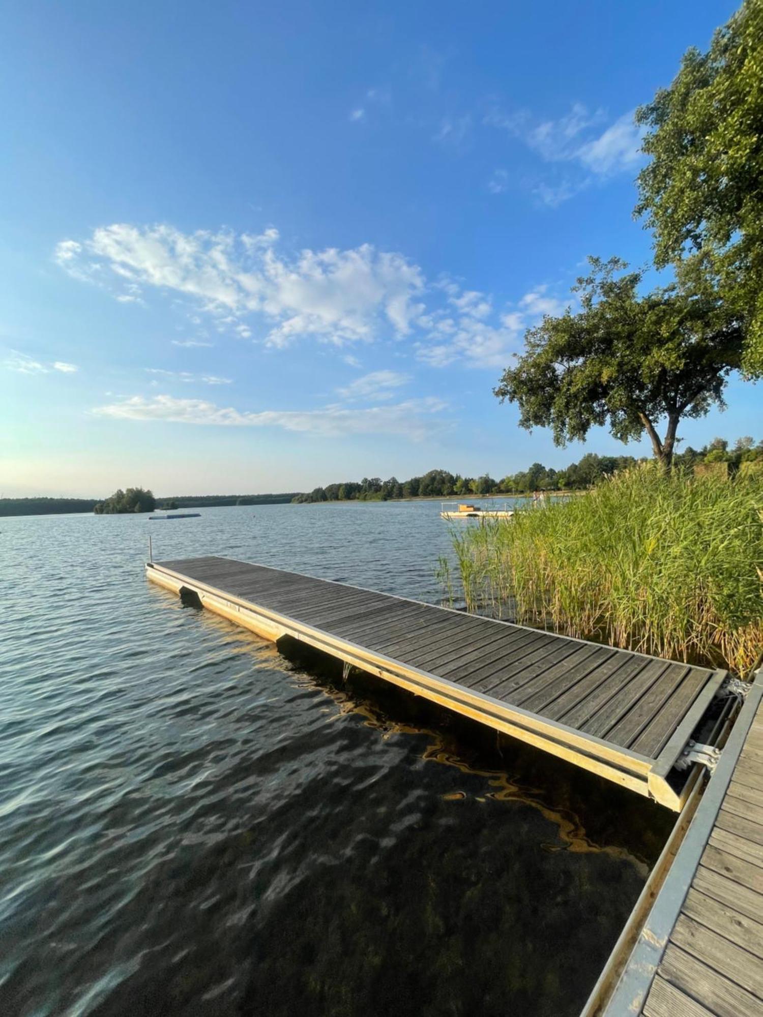 Вилла Gruener Bungalow Am Kiebitzsee Falkenberg/Elster Экстерьер фото